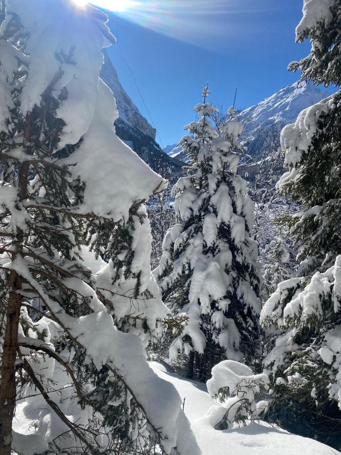 Hotel L'Edelweiss Pralognan-la-Vanoise Eksteriør bilde