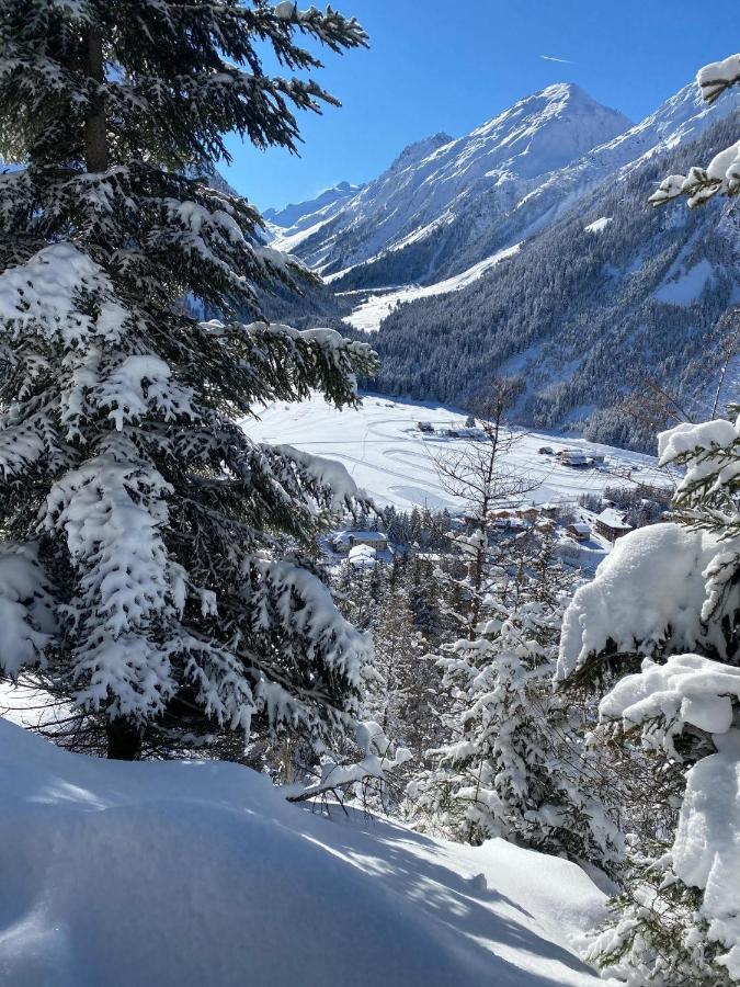Hotel L'Edelweiss Pralognan-la-Vanoise Eksteriør bilde